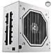 Rebel P20 Alimentatore 1000 W Cybenetics Platinum Fully-modular Atx 3.1 Bianco - Foto miniatura 1