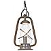 Lanterna A Catena Da Soffitto Da Esterno 1 Luce Bronzo Antico Ip44, E14 - Foto miniatura 1