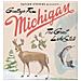 Sufjan Stevens - Michigan (2 Lp)  - Foto miniatura 1