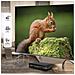 Decoder Digitale Terrestre SRT 8119 DVB-T2 HD HDMI / USB Colore Nero - Foto miniatura 7