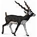 Wildlife Blackbuck Toy Figure Autentico Modello Dipinto A Mano - Foto miniatura 1