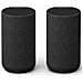 Speaker posteriore wireless con batteria integrata - Foto miniatura 7