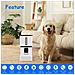 Distributore Automatico Di Cibo Per Animali Domestici Da 8 Litri Con Wifi Abilitato Per Animali Domestici - Foto miniatura 8