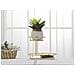 Espositore Svuotatasche 2 Livelli In Ferro Dorato E Vetro 36x22,5x27 Cm - Foto miniatura 4