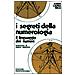 Anna L. Ricci - I segreti della numerologia - Foto miniatura 2