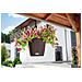Fioriera Sospesa NIDO Cottage 28 ALL-IN-ONE Granito - Foto miniatura 9