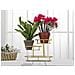 Espositore Svuotatasche 3 Livelli In Ferro Dorato E Vetro 36x22,5x27 Cm - Foto miniatura 5