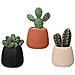 Pianta Decorativa 808448 Cactus 14 Cm - Foto miniatura 1