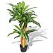 Dracena Pianta Artificiale Con Vaso 100 Cm Verde - Foto miniatura 1