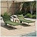 Lettino prendisole pieghevole con cuscino 2 pcs Verde Scuro - Foto miniatura 3
