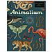 Katie Scott - Animalium. Il grande museo degli animali - Foto miniatura 1