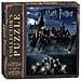Puzzle Del Mondo Di Harry Potter Da 550 Pezzi Illustrazione Del Film Harry Potter E La Pietra Filosofale Merce Ufficiale Di Harry Potter Puzzle Da Collezione - Foto miniatura 1