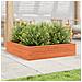 Fioriera Giardino Marrone Cera 100x100x23 Legno Massello Pino - Foto miniatura 3