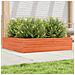 Fioriera Giardino Marrone Cera 100x100x23 Legno Massello Pino - Foto miniatura 1