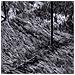 Tappeto Shaggy a Pelo Lungo NAVARRA Grigio Scuro 120x120 cm - Foto miniatura 2
