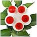Alimentatore D'acqua Per Api A Forma Di Fiore In Silicone - Set Da 5, Colori Misti Red - Foto miniatura 1