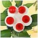 Alimentatore D'acqua Per Api A Forma Di Fiore In Silicone - Set Da 5, Colori Misti Red - Foto miniatura 3