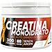 Creatina Monoidrato 300 g - 100% Polvere Pura Senza Additivi - Forza, Potenza e Prestazioni Fisiche - Foto miniatura 1
