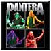 Pantera - Band Photo (magnete)  - Foto miniatura 1