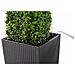 CUBE Cottage 30 All-in-One Set Interno /esterno Vaso a cubo Libera installazione Polipropilene (PP) Marrone - Foto miniatura 9
