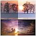 Filtro Sfumato Grigio Rotondo Per Fotocamera: Migliora I Colori E Riduce Il Rossore  55 Mm - Foto miniatura 5