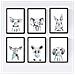 Set Di 6 Stampe Animali Bambini Con Gomma Da Masticare Maiale Elefante Coniglio Mucca Zorro Cane A4 Cornice Nera - Foto miniatura 1