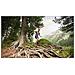 Adventurer Impermeabile 5Atm GPS Wireless con Cardiofrequenzimetro integrato Attivià fisica + Music Nero - Foto miniatura 10