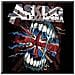 Asking Alexandria - Flag Eater (magnete)  - Foto miniatura 1