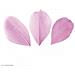 50 Piume - Rosa Pallido - Foto miniatura 1