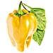 Semi Di Pepe Smart Graden Click & Grow 3 Piantine Da Giardino - Foto miniatura 2