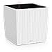 CUBE Cottage 40 All-in-One Set Interno /esterno Vaso a cubo Libera installazione Polipropilene (PP) Bianco - Foto miniatura 1