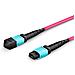 LVO230415-MTP cavo InfiniBand e in fibra ottica 15 m Viola - Foto miniatura 2