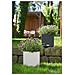 CUBE Cottage 40 All-in-One Set Interno /esterno Vaso a cubo Libera installazione Polipropilene (PP) Grigio - Foto miniatura 3