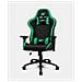 DR110BG sedia per videogioco Poltrona per gaming Seduta imbottita Nero, Verde - Foto miniatura 1