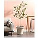 Vaso Per Piante Maize 43 Cm Beige Chiaro - Foto miniatura 1