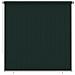 Tenda A Rullo Per Esterni 220x230 Cm Verde Scuro Hdpe - Foto miniatura 1