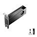 RTX Pro 2000 Blackwell 16 GB GDDR7 PCI Express 5.0 x8 1 x Ventola - Foto miniatura 5
