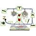 592716 Kit Di Micro-irrigazione, 71 P. zi 71 P. zi - Foto miniatura 4