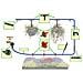592716 Kit Di Micro-irrigazione, 71 P. zi 71 P. zi - Foto miniatura 2