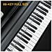 Etichette Rimovibili Per Pianoforte E Tastiera 88 Tasti White - Foto miniatura 3