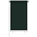 Tenda A Rullo Per Esterni 80x140 Cm Verde Scuro Hdpe - Foto miniatura 1
