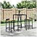 Set Bar Giardino 3 Pz Nero Polyrattan E Legno Massello Acacia - Foto miniatura 1