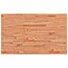 Banco da Lavoro 100x60x(71,5-98) cm Legno Faggio Rettangolare - Foto miniatura 8