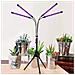 Lampada Per Piante Pieghevole Con Supporto Regolabile E Timer Black - Foto miniatura 3