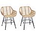 Sedia da pranzo 2 pcs Naturale 55 x 50 x 74 cm Rattan e Ferro - Foto miniatura 1
