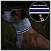 Tagme Collare Riflettente In Nylon Per Cani Con Fibbia A Sgancio Rapido L Blu - Foto miniatura 2