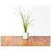 Semi Di Erba Cipollina Smart Graden Click & Grow 3 Piantine - Foto miniatura 2
