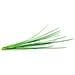 Semi Di Erba Cipollina Smart Graden Click & Grow 3 Piantine - Foto miniatura 3