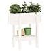 Fioriera Da Giardino Bianca 62x30x69 Cm Legno Massello Di Pino - Foto miniatura 3