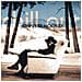 John Lee Hooker - Chill Out - Foto miniatura 1